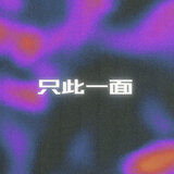 只此一面