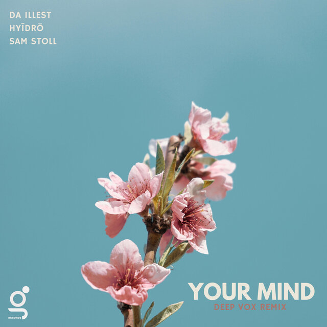 Your Mind (feat. Sam Stoll & HYĪDRÖ) [Deep Vox Remix]