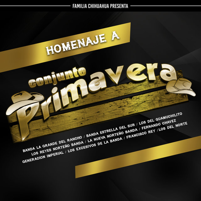 Homenaje a  Conjunto Primavera