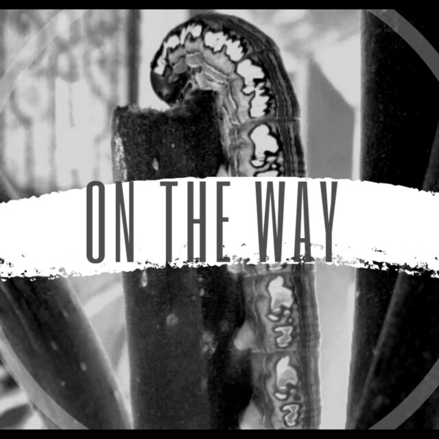 On The Way