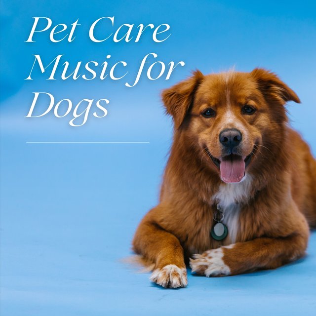 Pet Care Music for Dogs