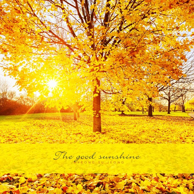 Nice sunshine