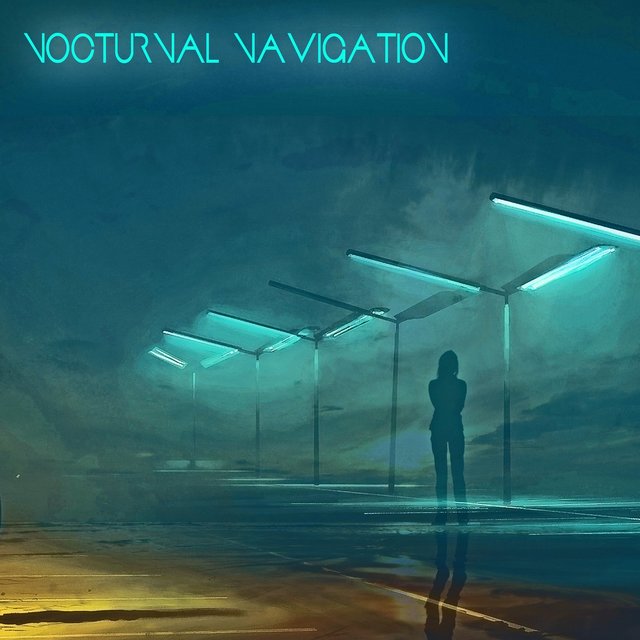 Nocturnal Navigation