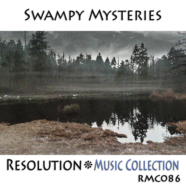 Swampy Mysteries