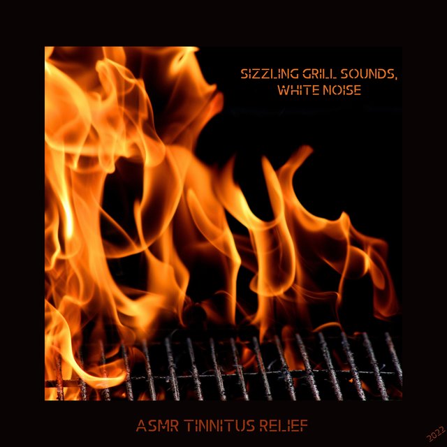 Sizzling Grill Sounds, White Noise