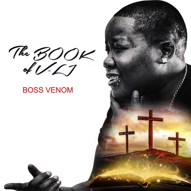 The Book of V-Li