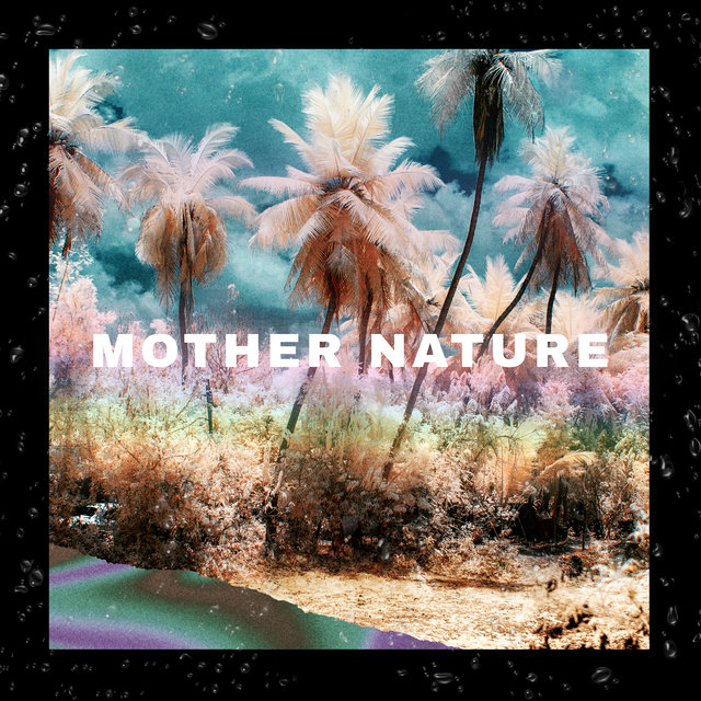Mother Nature Tropical Forest