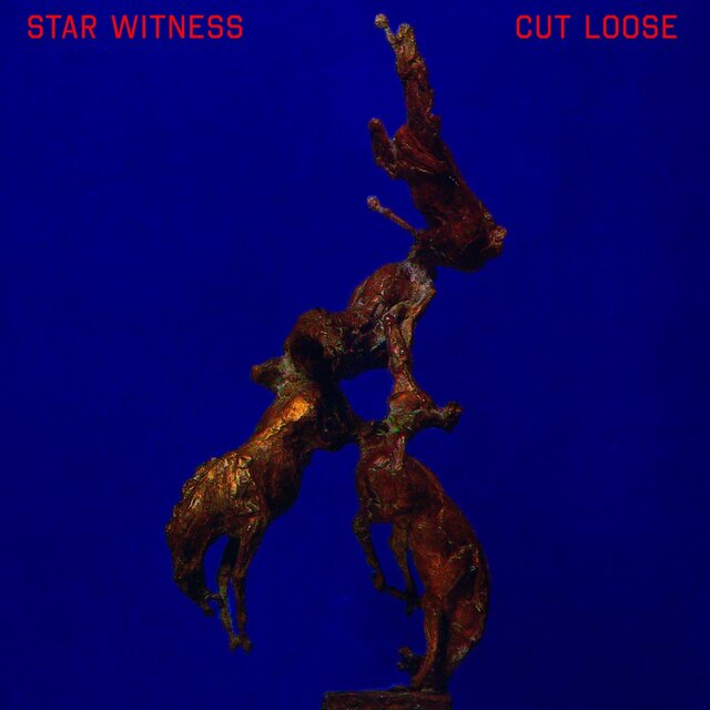 Star Witness