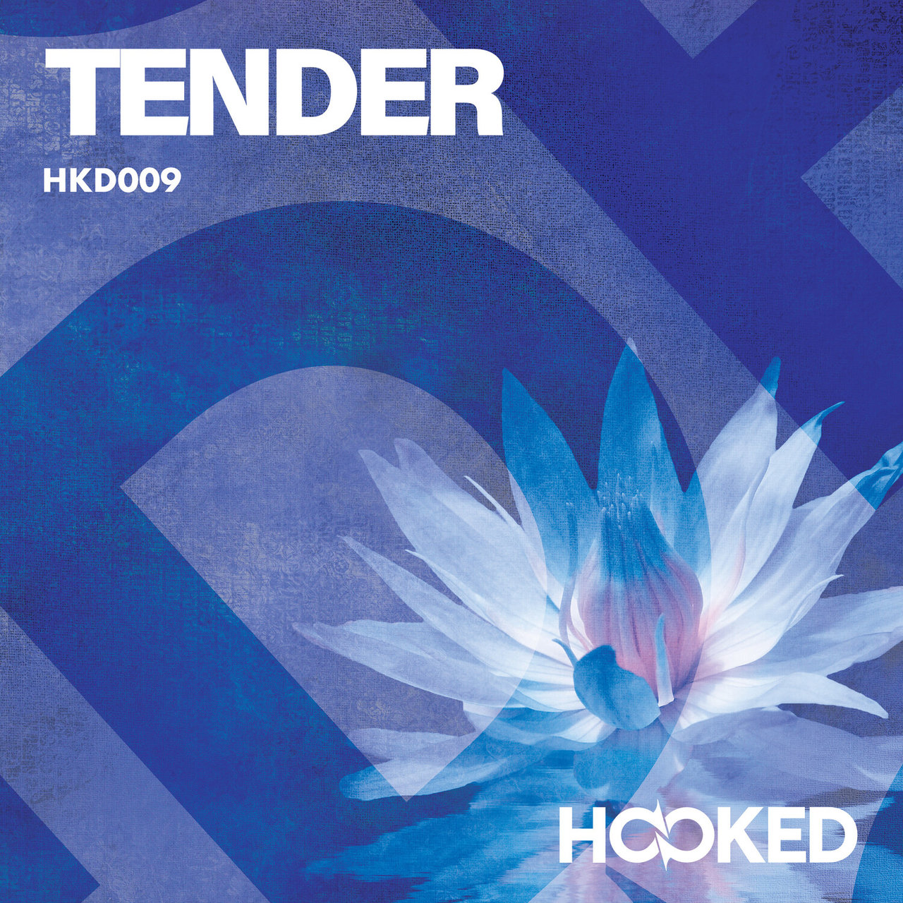 Angus Thomas Nicholson on TIDAL