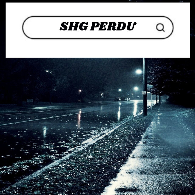 Perdu