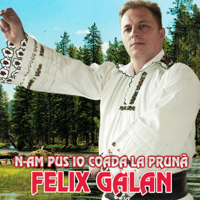 N-Am Pus Io Coada La Prună