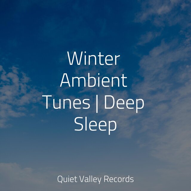 Winter Ambient Tunes | Deep Sleep