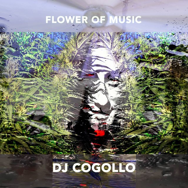 Flower of Music