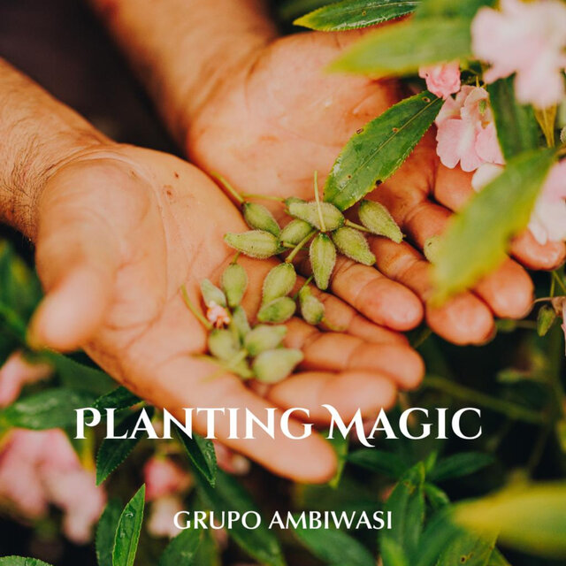 Planting Magic