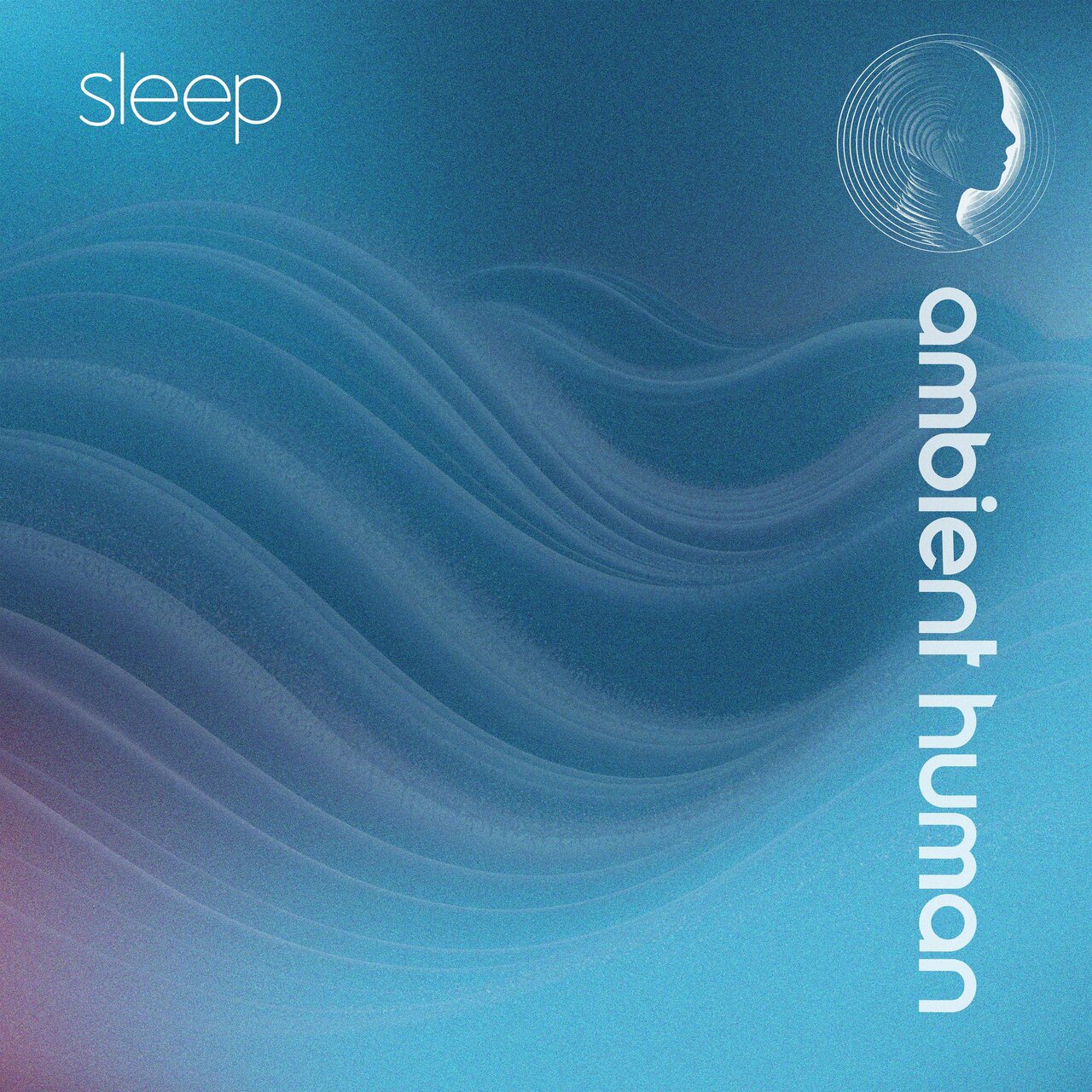 Sleep by Ambient Human on TIDAL