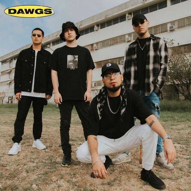 Dawgs