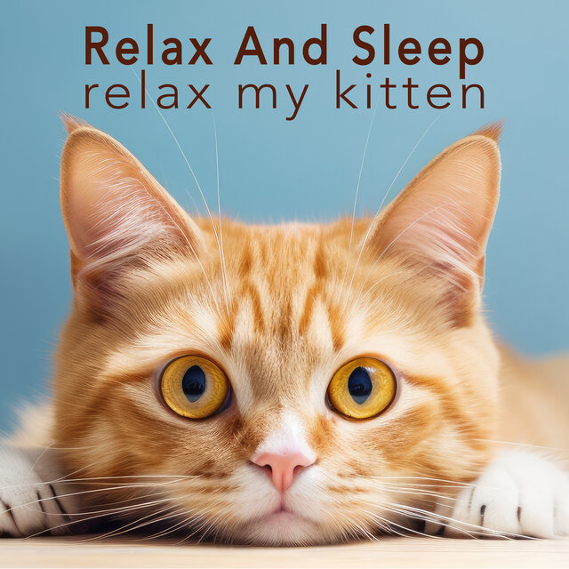 Relax And Sleep