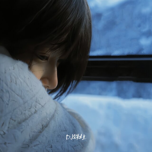 最好的我 (Dj铁柱版)