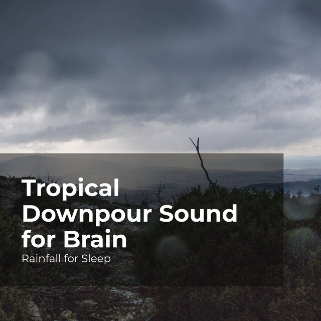 Tropical Downpour Sound for Brain