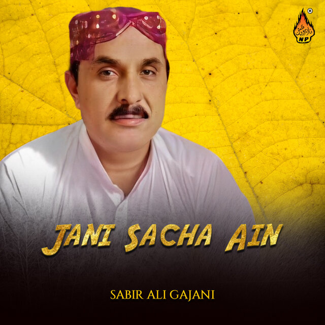 Jani Sacha Ain