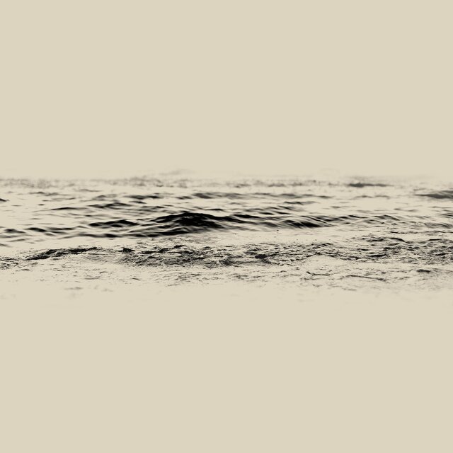 On the surface of the water