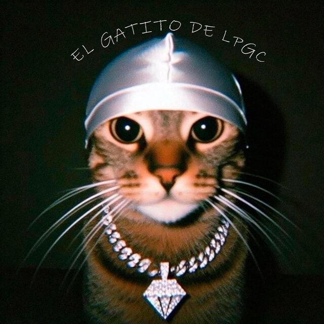 El Gatito de LPGC