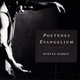 Cover art for album Poetenes Evangelium by Morten Harket