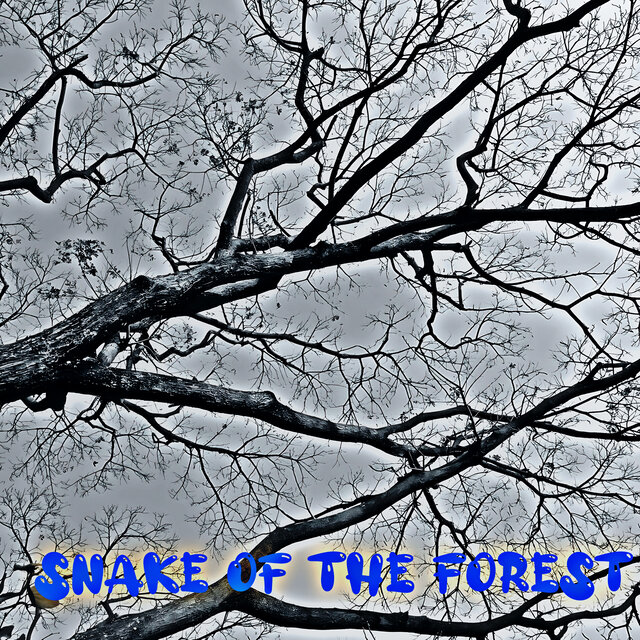 Snake Of The Forest
