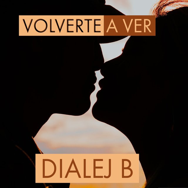 Volverte a Ver