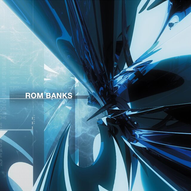 ROM BANKS