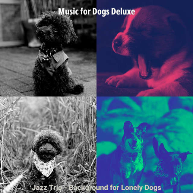 Jazz Trio - Background for Lonely Dogs