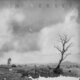 Cover art for album IN VERSES by Karnivool