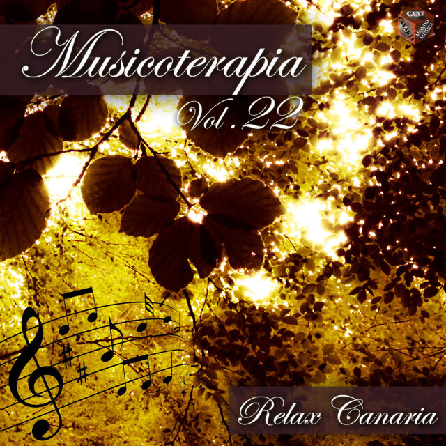 Musicoterapia, vol. 22