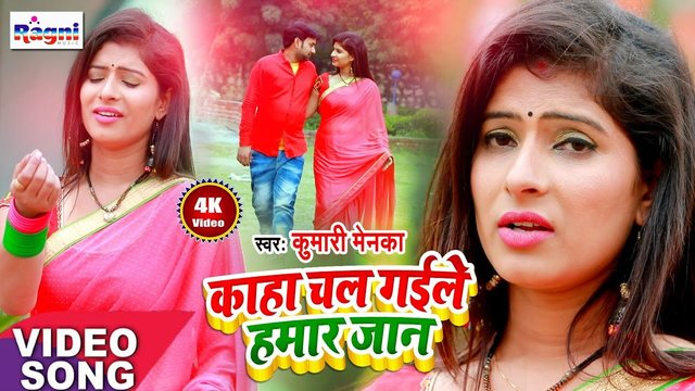 Kaha Chal Gaile Hamar Jan - Bhojpuri Video Song (Bhojpuri Song)