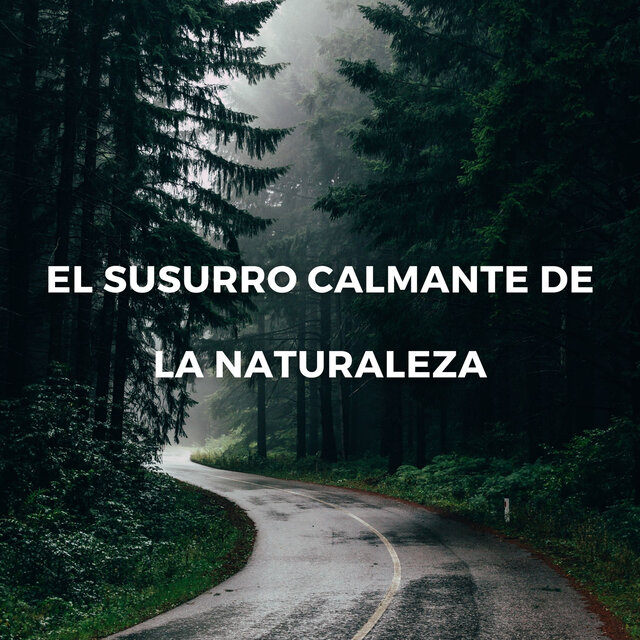 Serenidad Al Anochecer: El Susurro Calmante De La Naturaleza