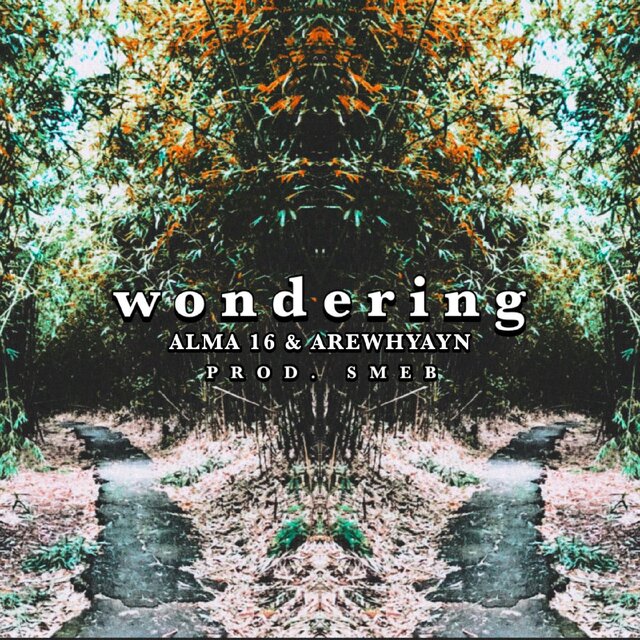 Wondering