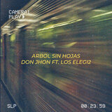 Arbol Sin Hojas