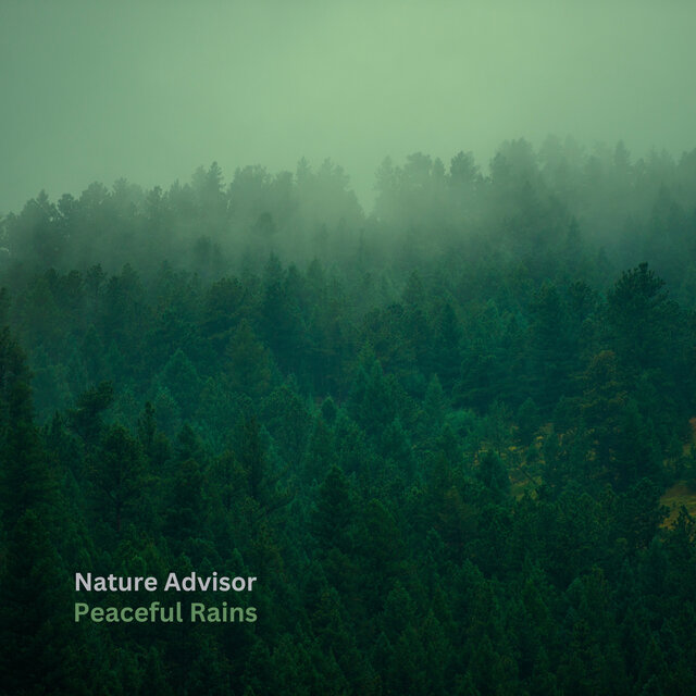 Peaceful Rains