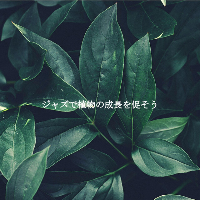 ジャズで植物の成長を促そう