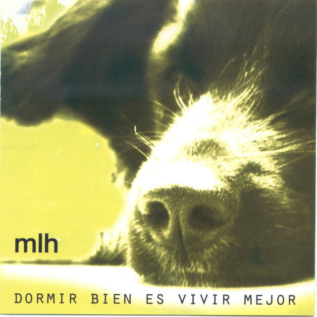 Dormir Bien Es Vivir Mejor