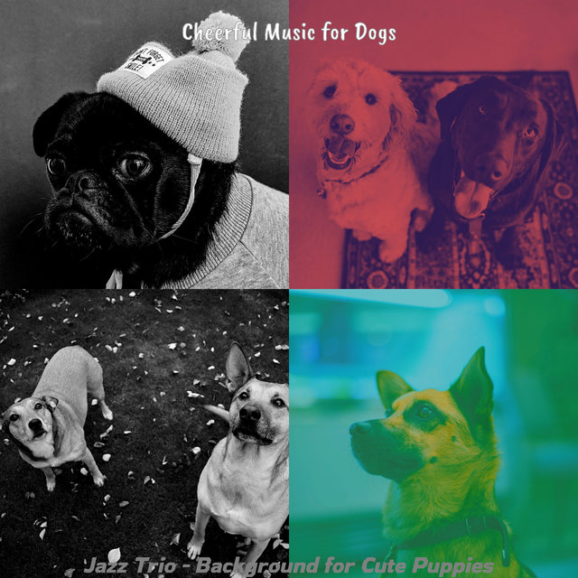 Jazz Trio - Background for Cute Puppies