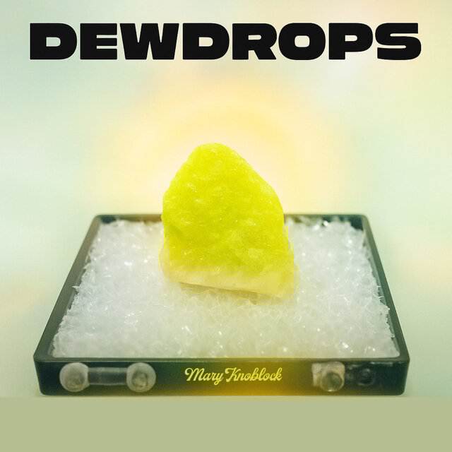 Dewdrops