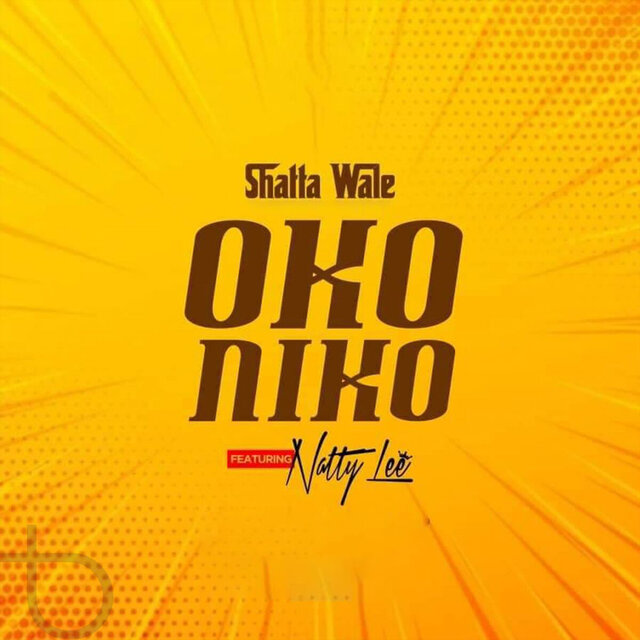 Oko Niko