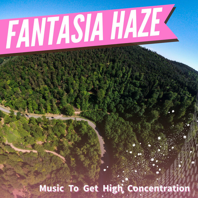 Music To Get High Concentration