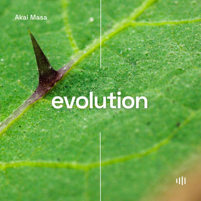 Evolution