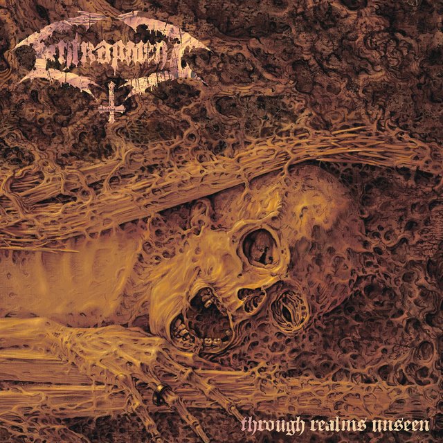 Through Realms Unseen