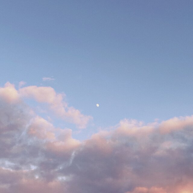 until tomorrow
