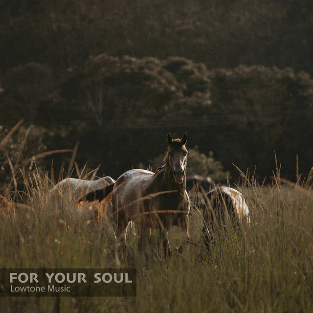 For Your Soul