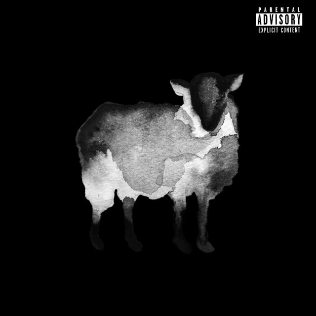 BLACCSHEEP