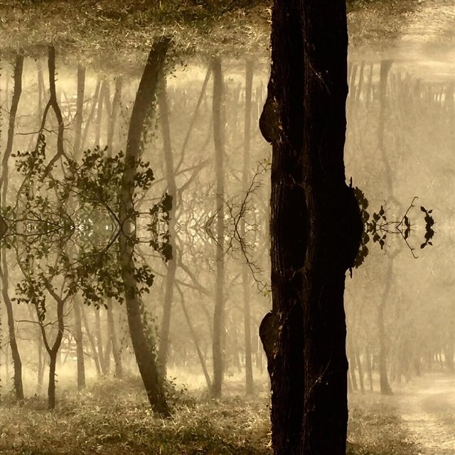 Espejeos / Mãe da Luz (Zul Ad Eãm)